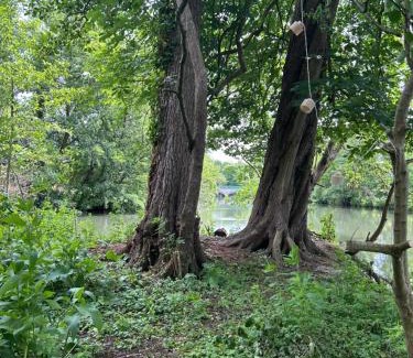 La Celle-sous-Gouzon Other | Séjour insolite sur une île