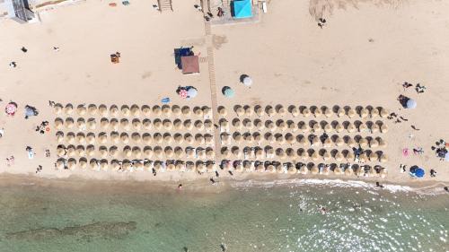 Altinkum Apartment | Sürer Apart Altınkum