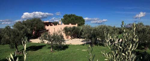 Dorgali House | S'Ulumu