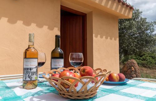 Dorgali House | S'Ulumu
