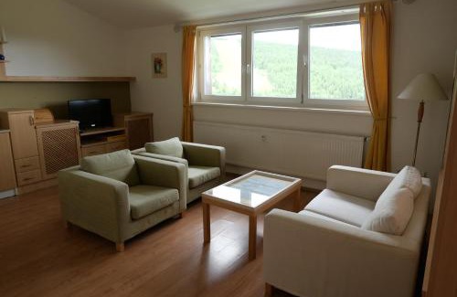 Loucna nad Desnou Apartment | S4 Červenohorské sedlo