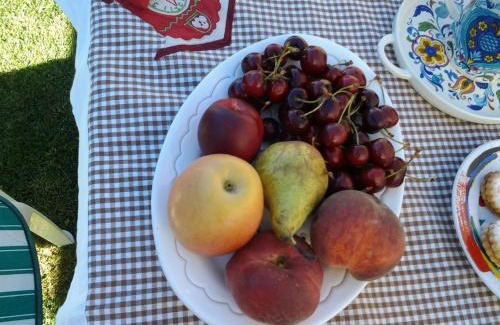 Ittiri Bed & Breakfast | Sa Mariposa