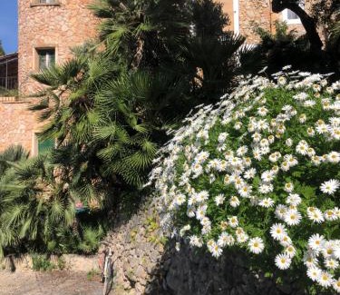Estellencs Hotel | Sa Plana Petit Hotel