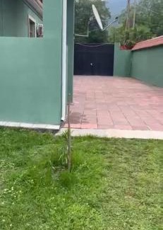 Zaqatala House | Sad