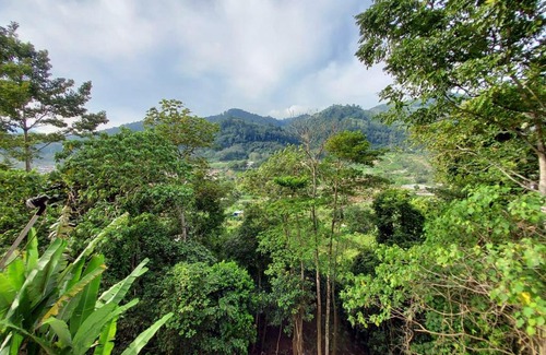 Bukit Tinggi Apartment | Safar Inn Selesa Hillhomes (Muslim)