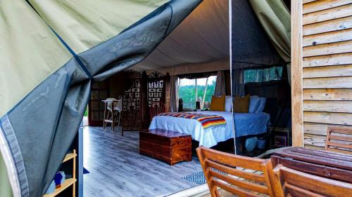 Kempner Other | Safari Style Glamping Experience in the Heart of Texas Hill Country, Perfect for Animal Lovers