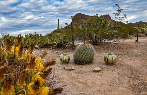 Picture Rocks House | Saguaro National Park Sanctuary