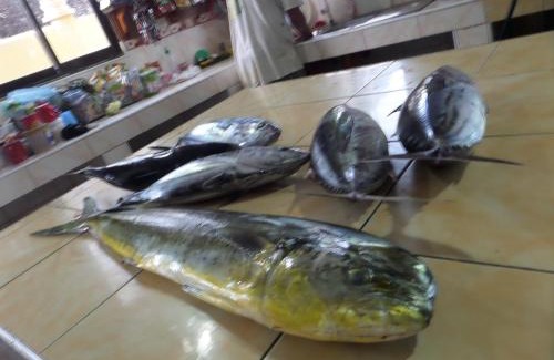 San Isidro House | Sailfishbay Surf And Big Game Fishing Lodge