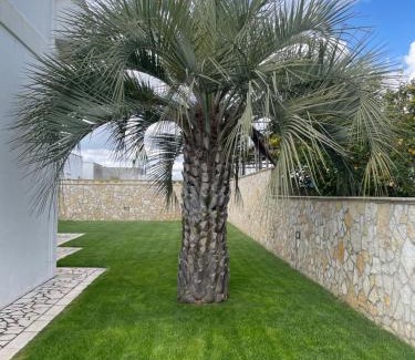 Palmariggi House | Salento nel cuore