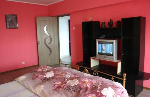 Bacau Apartment | Salonul Rosu