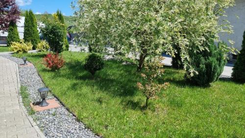 Turda Apartment | Salt Orchid Apartments