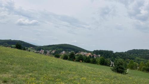 Bukkszek Bed & Breakfast | Salvus Panzió