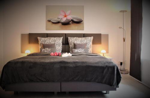 Zittau Apartment | SALZHAUSBLICK BUSINESS APARTMENTS - Zentrale Lage am Salzhaus - MwSt-Rechnung verfügbar