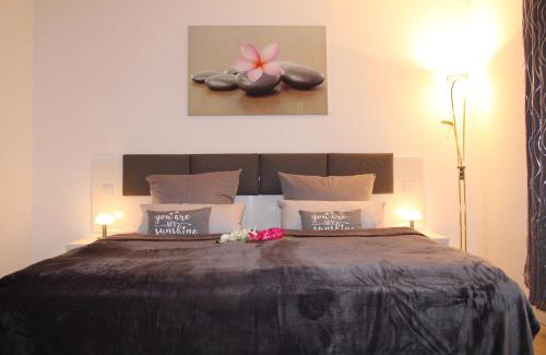 Zittau Apartment | SALZHAUSBLICK BUSINESS APARTMENTS - Zentrale Lage am Salzhaus - MwSt-Rechnung verfügbar