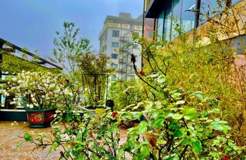 Tam Dao Apartment | Sam Villa Tam Đảo