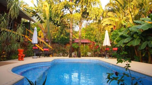 Samara Hotel | Samara Palm Lodge