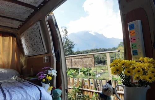 Chiang Dao Other | Samatha Camper