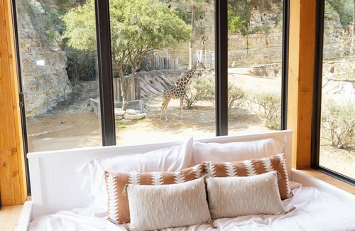 Uptown Cabin | San Antonio Zoo - Spekboom Giraffe Lodge