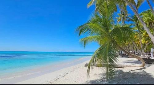 Carti Tupile Cabin | San Blas Tours Aridub