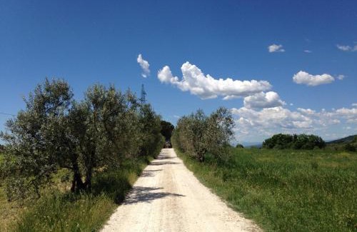 San Casciano in Val di Pesa House | San Casciano - Appartamenti Podere Ianni