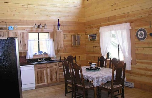 Lake City House | San Juan Log Home 4 beds, 3 br, 2 baths, on the river, mtn view