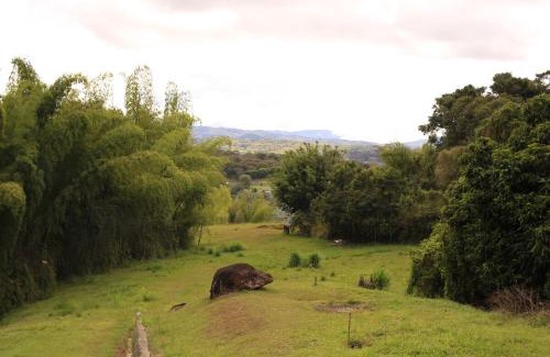 Dagua House | San Julio Campestre