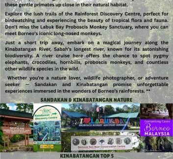 Sandakan Apartment | Sandakan Homestay & Backpackers