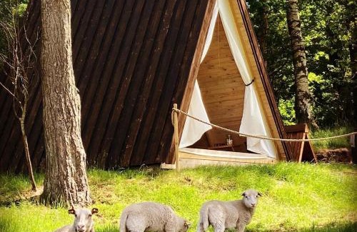 Laholm Other | Sandfallet Glamping