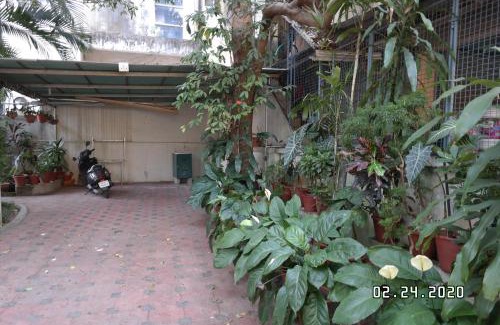 Kochi House | Sandra's Home