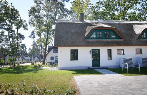 Zirchow House | Sandregenpfeifer