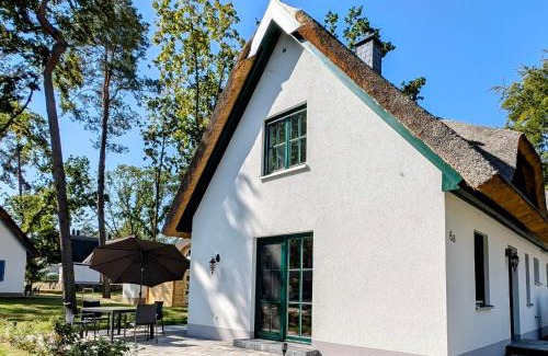 Zirchow House | Sandregenpfeifer