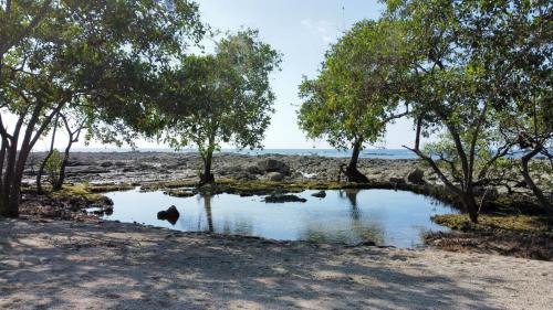 Manzanillo House | Santa Teresa Manzanillo Walk to Beach, New Home, Center of Tranquil Town