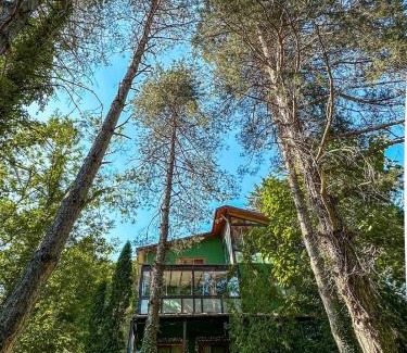 Sapanca Villa | Sapanca Orman İçinde Özel Havuzlu Villa