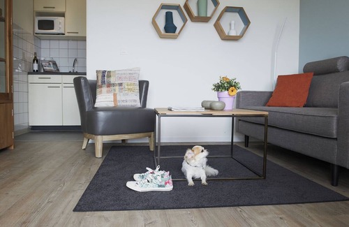 Luxembourg Ardennes Apartment | Sapinière Type C - One Bedroom Apartment, Sleeps 3
