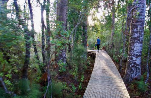 Katikati Resort | Sapphire Springs Holiday Park and Thermal Pools