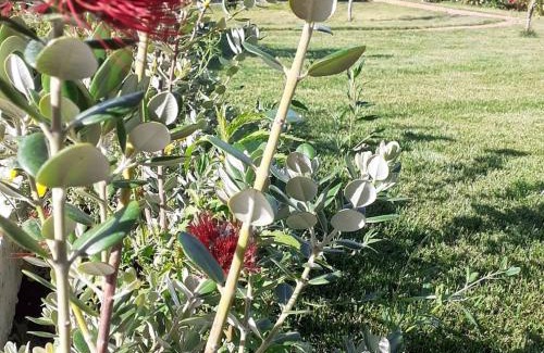 Torpe Bed & Breakfast | SardAma B&B Affittacamere