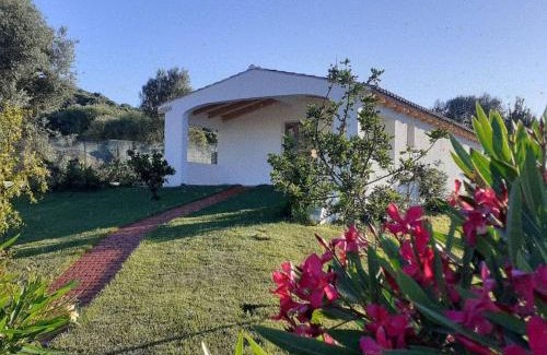 Torpe Bed & Breakfast | SardAma B&B Affittacamere