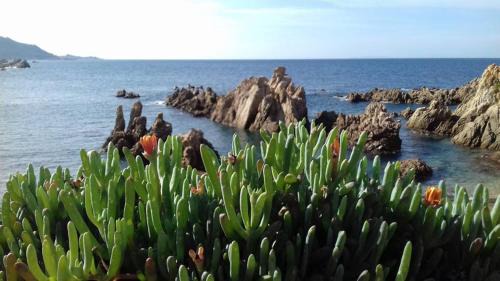 Santa Maria Coghinas Apartment | Sardegna Costa Nord Ovest