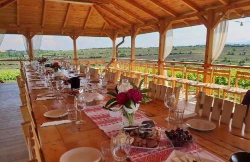 Turda House | Sarea-n Bucate (Crama la Salina)
