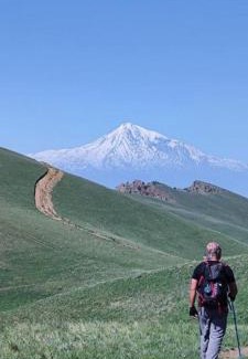 Areni Other | Sareni