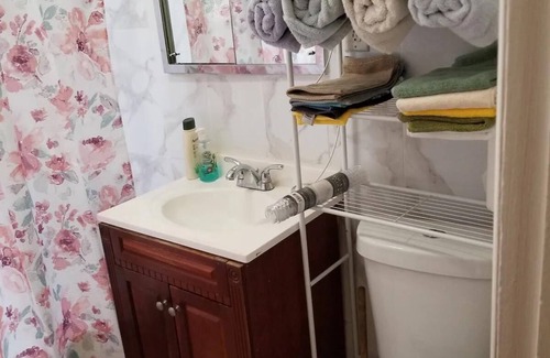 Brooklyn House | Sarge. Cozy. Beauitful. Place in.Flatbush. Bklyn. N. Y