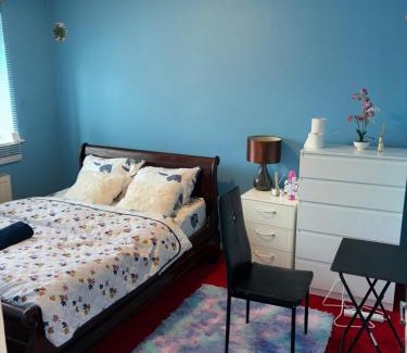 Ilford House | Sariyu space Barking