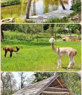 Piecki House | SARNOGRÓD - Agroturystyka z alpakami
