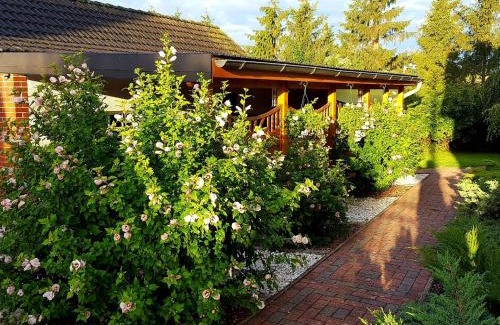 Satow Apartment | Satow Gartenwohnung