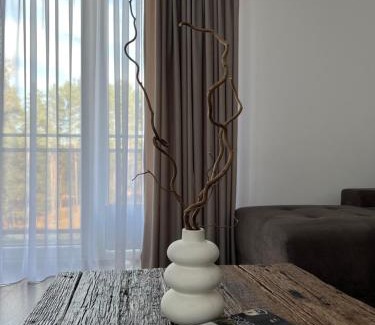Druskininkai Apartment | Saulės Tako apartamentai