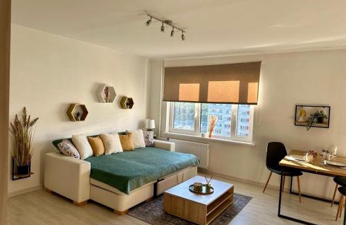 Ventspils Apartment | Saule