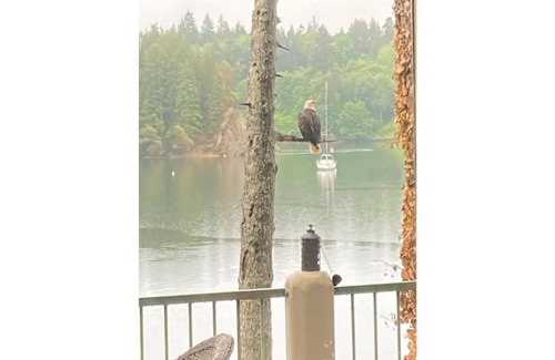 Shelton House | Sauna+Oyster beach+relaxing views in Hamersley inlet