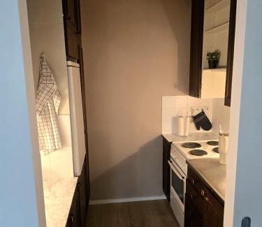 Pieksamaki Apartment | Saunakaksio - cozy flat Pieksämäki