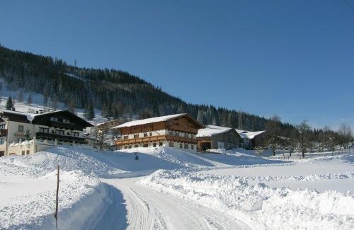 Taxenbach Apartment | Sauschneid Hof