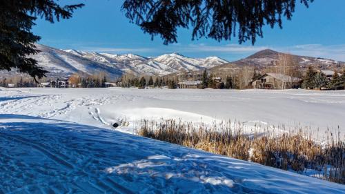 Park Meadows Apartment | Scandinavian 72 Vantage Condo